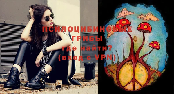бутират Михайлов