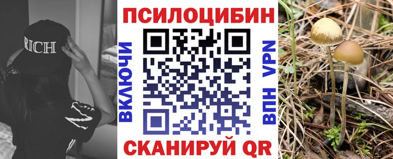 Псилоцибиновые грибы Cubensis  Прокопьевск 